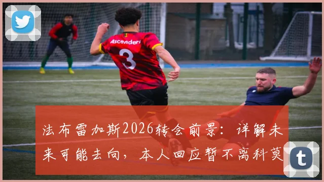法布雷加斯2026转会前景:详解未来可能去向,本人回应暂不离科莫,接替罗森内尔话题再起